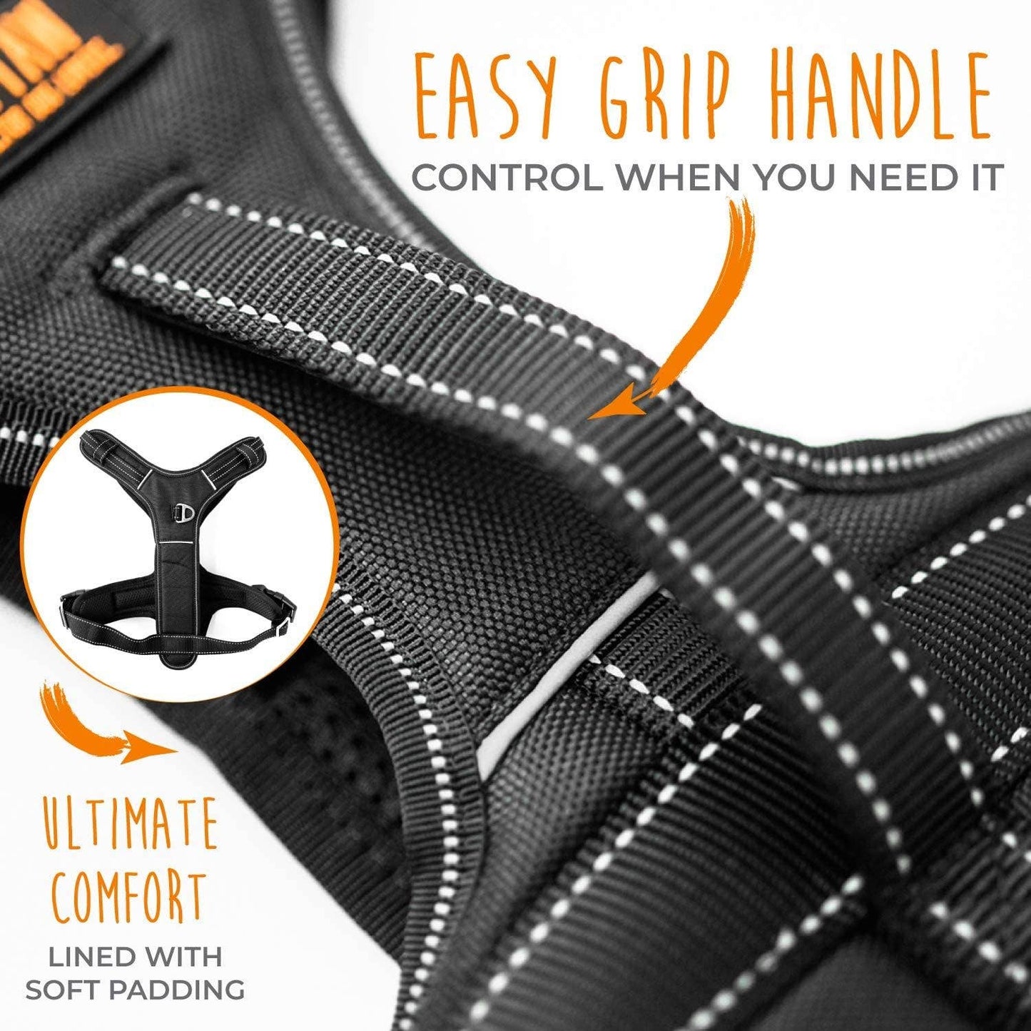 Mighty Paw Padded Adjustable Dog Harness 🐶🐾