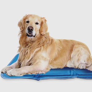 Cool Pet Pad
