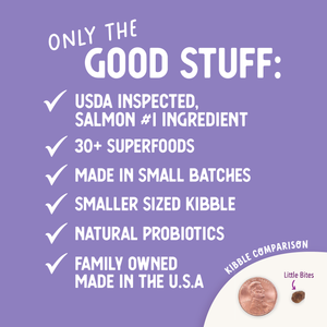 Grain Free Salmon Sweet Potato