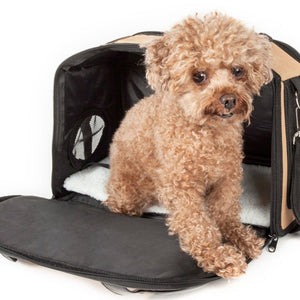 Airline Approved Mystique Fashion Pet Carrier