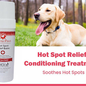 Hot Spot Relief Balm Roll on Applicator