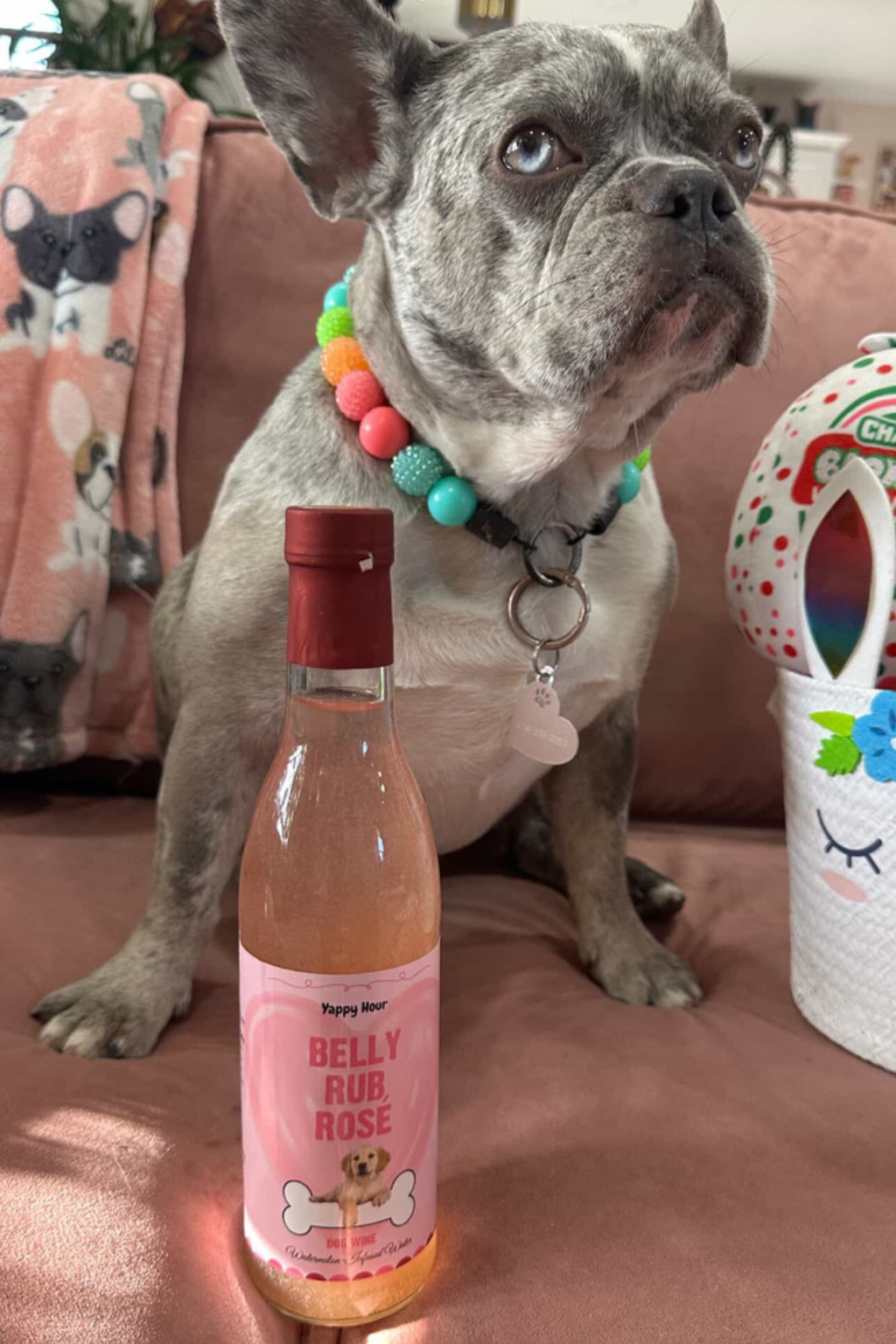 🍉🍷Belly Rub Rosé Dog Wine | Watermelon