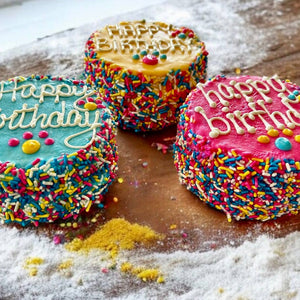 🎉🐾 Colorful FIESTA Sprinkle Doggie Cake Treat