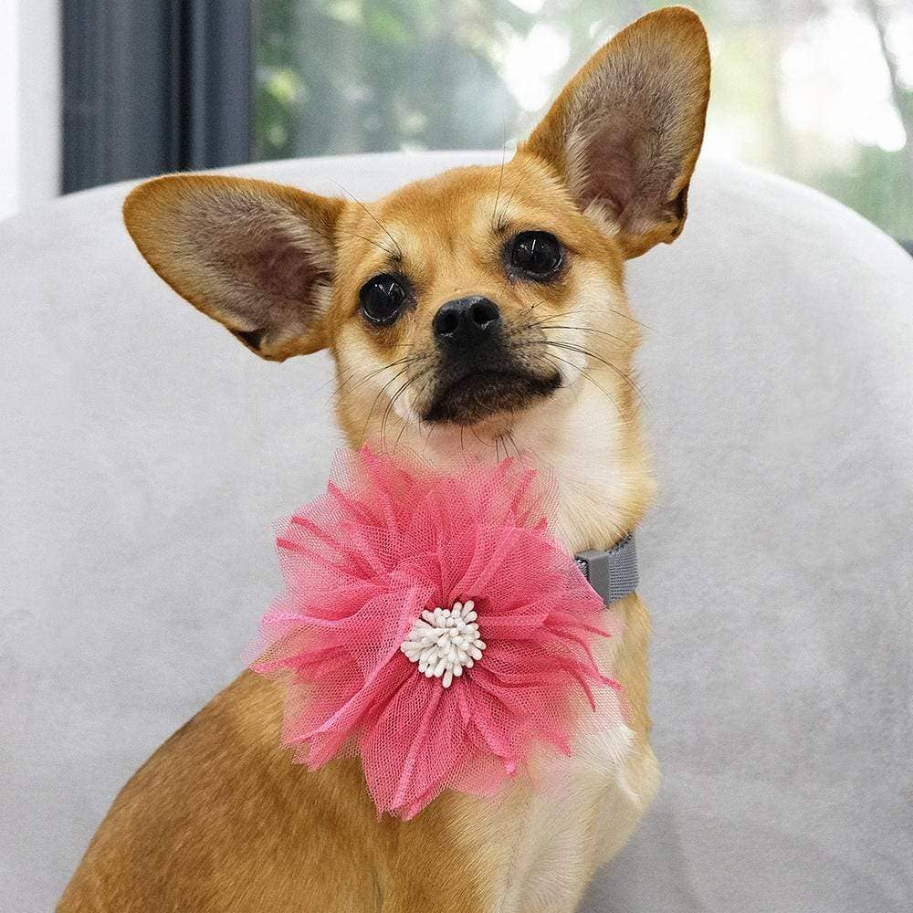 🌸👑 Flower & Pendant Dog Collar Accessory Set