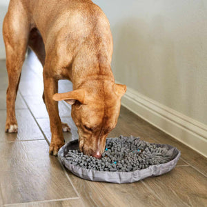 Forager® Bowl w/SoftSnout™