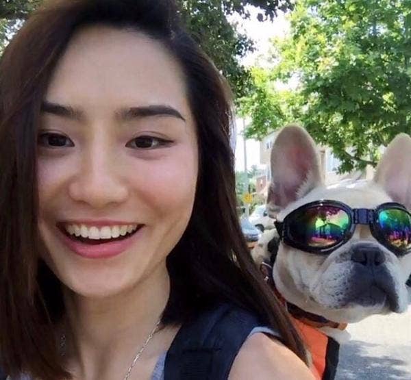 🕶️🐾 K9 Sport Sack Dog Sport Shades – Eye Protection for Every Adventure