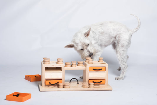 Two Towers Dog Game