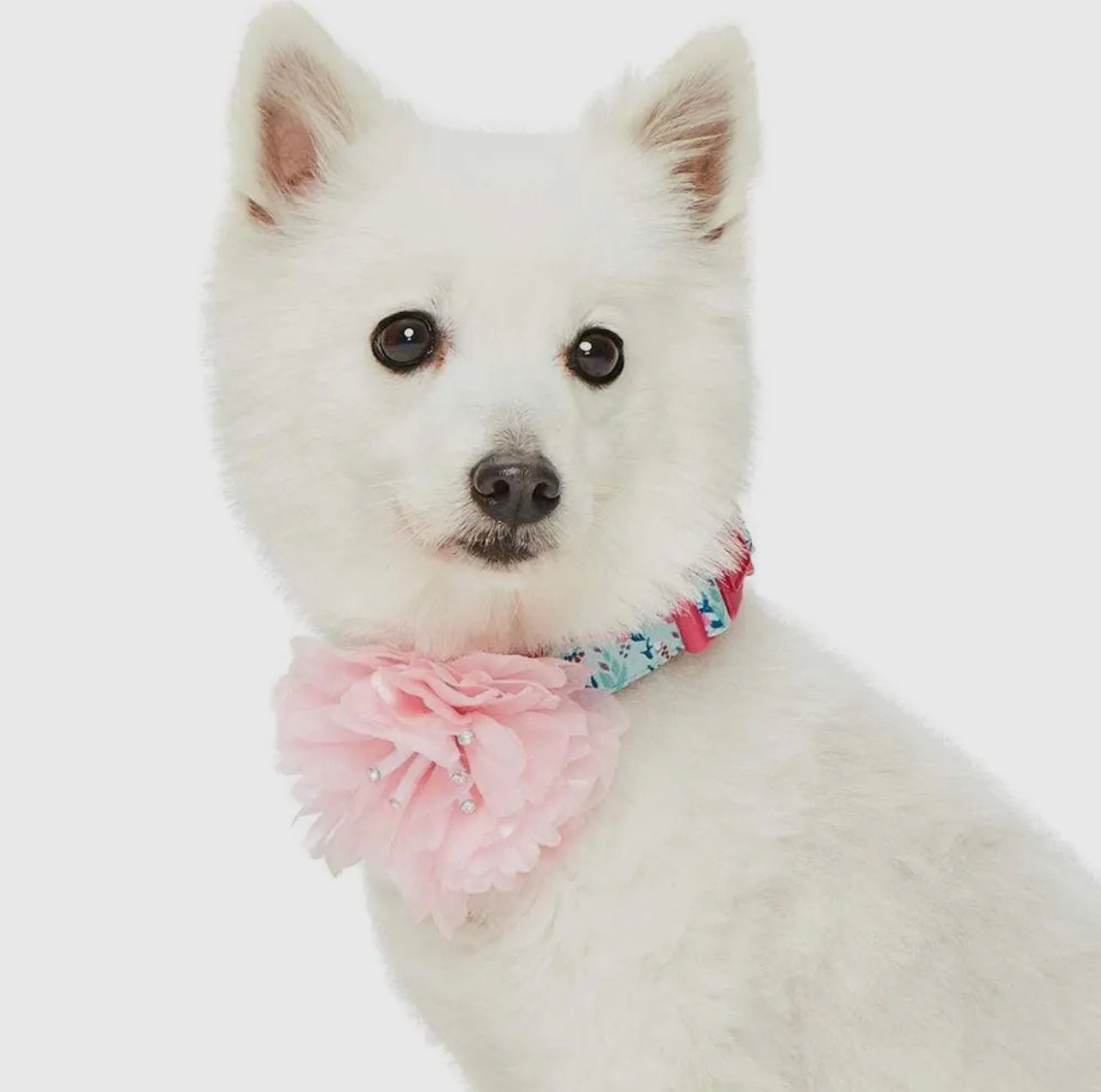 Floral Dog Collar with Detachable Pink Peony