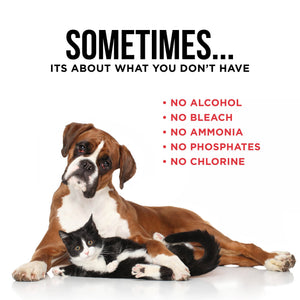 The Only Pet Stain Odor Remove