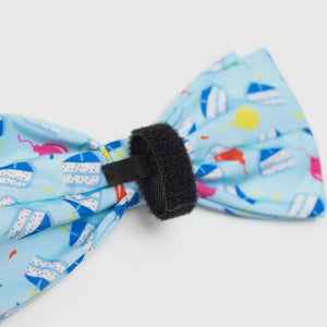 Birthday Boy Bow Tie