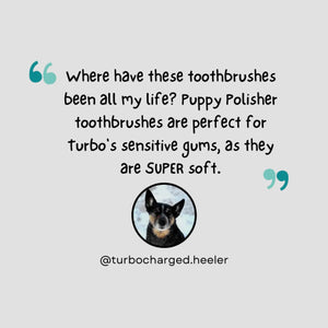 Puppy Polisher Finger Brush (One Size)