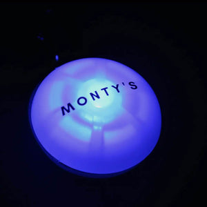 USB Rechargeable Dog Collar/ Harness Light