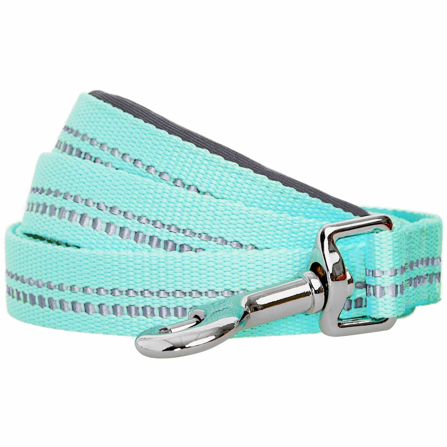 🌸 Spring Colors Reflective Soft Padded Safety Dog Leash