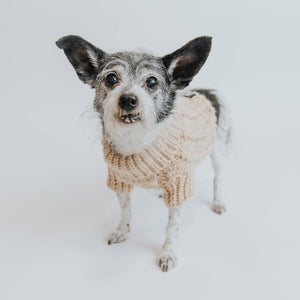 Dog Cable Knit Sweater - Beige