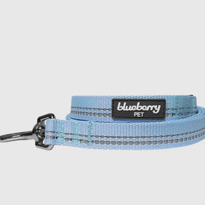 Spring Colors 3M Reflective Soft Padded Safety Leash
