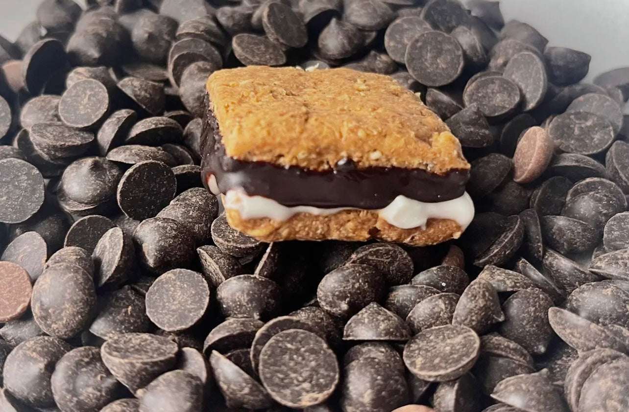 Campfire S’mores for Dogs