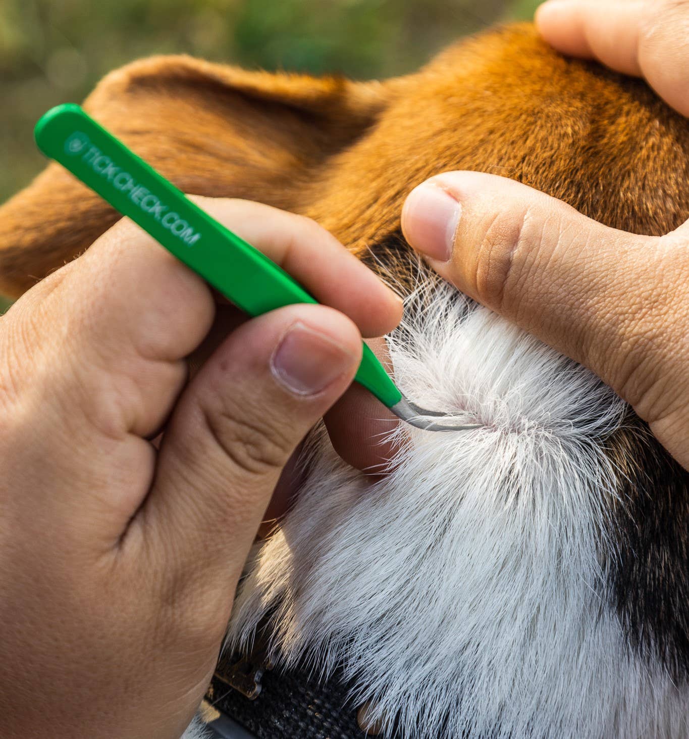 🪲 TickCheck Premium Tick Remover Kit | Safe, Easy Tick Removal for Pets & Humans 🐾