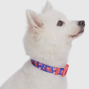 Spring Floral Pattern Light-Weighted Adjustable Dog Collar