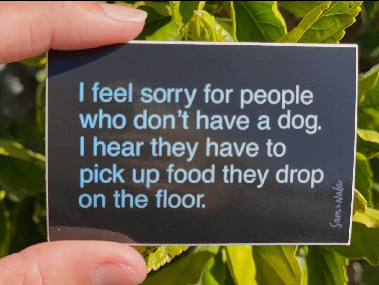 I Feel Sorry Vinyl Sticker