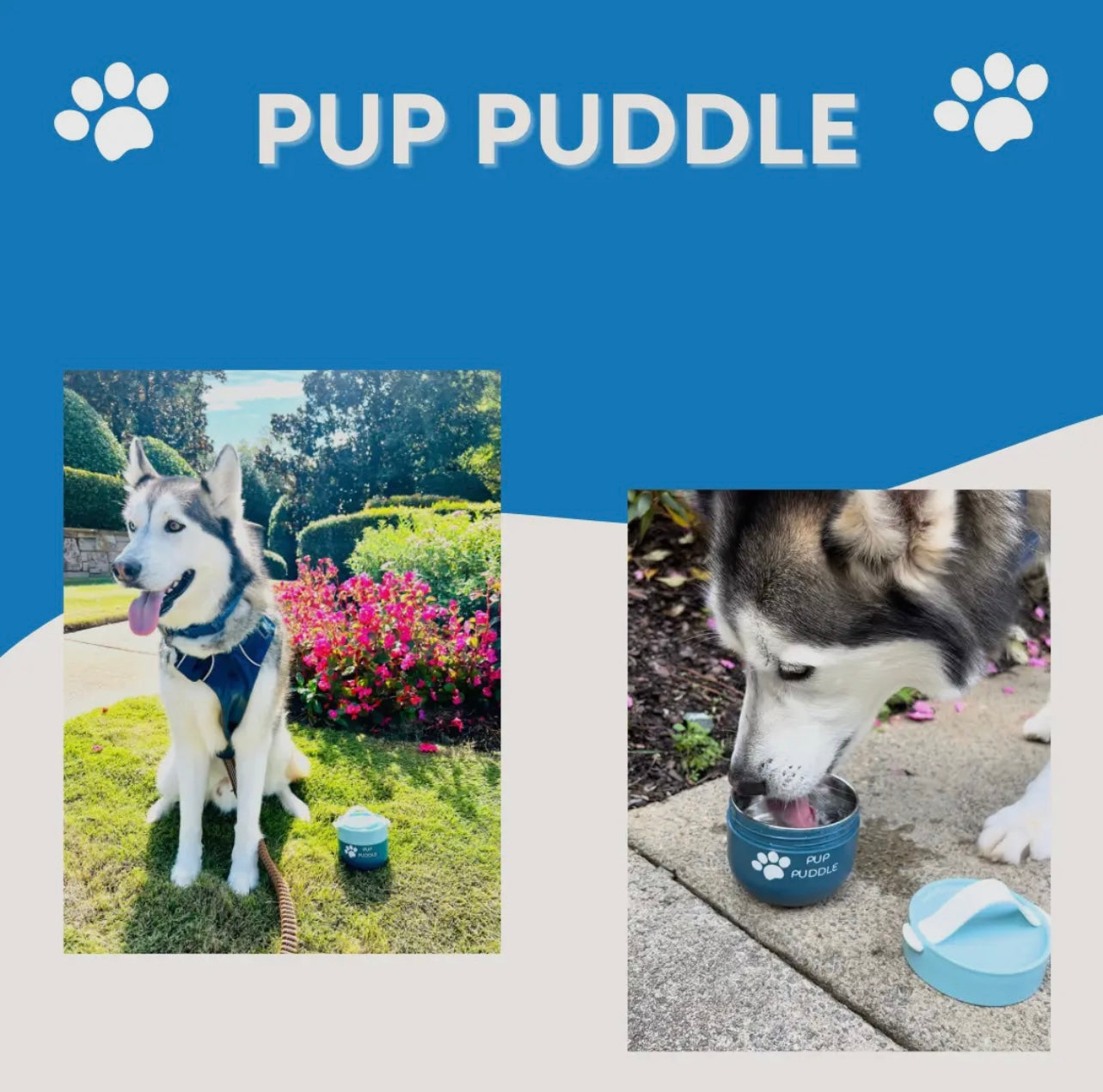 Pup Puddle - Keep Water & Food Cold/Warm - Leakproof