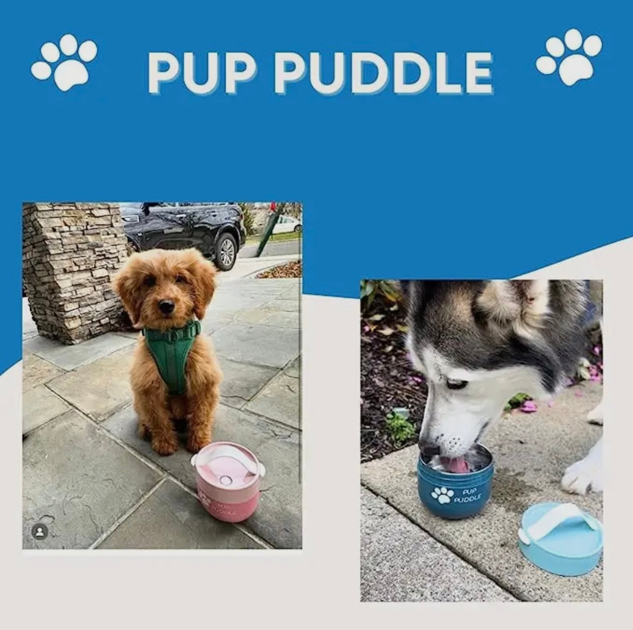 Pup Puddle - Keep Water & Food Cold/Warm - Leakproof