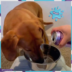 Lazy Dog Pup-Pop Birthday Water Vanilla Cake Flavor