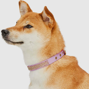 Bling Crystal Rhinestone Dog Collars