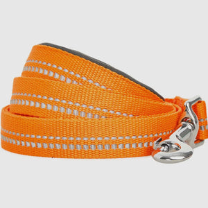 Spring Colors 3M Reflective Soft Padded Safety Leash