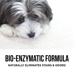 The Only Pet Stain Odor Remove