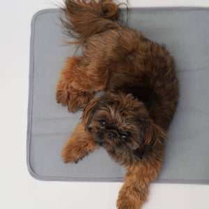 Thera-Pawz Warming Pad