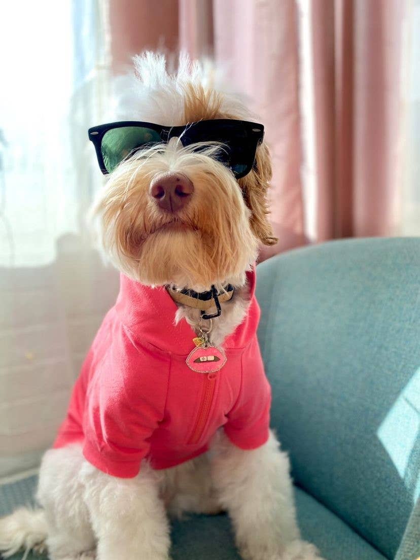 💖🐾 Cute AF Dog Hoodie