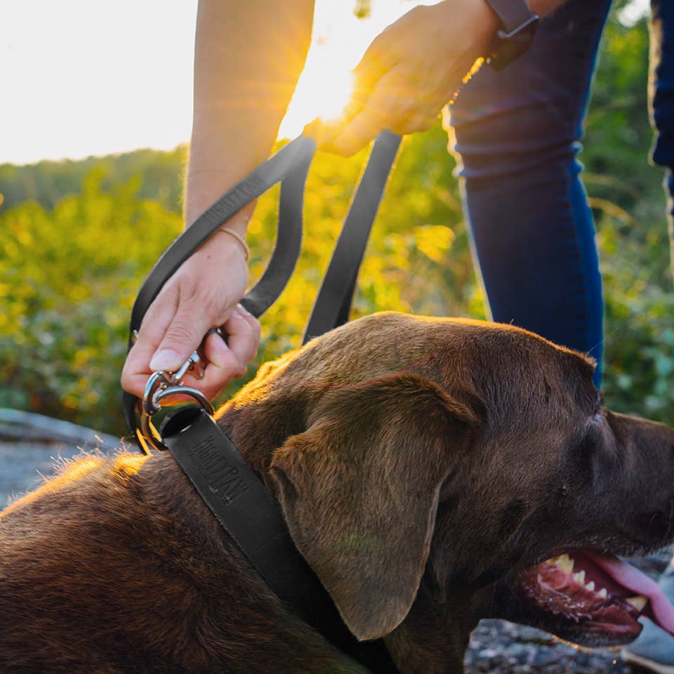 Mighty Paw Premium Leather Dog Leash – 5-Foot 🐶🤎