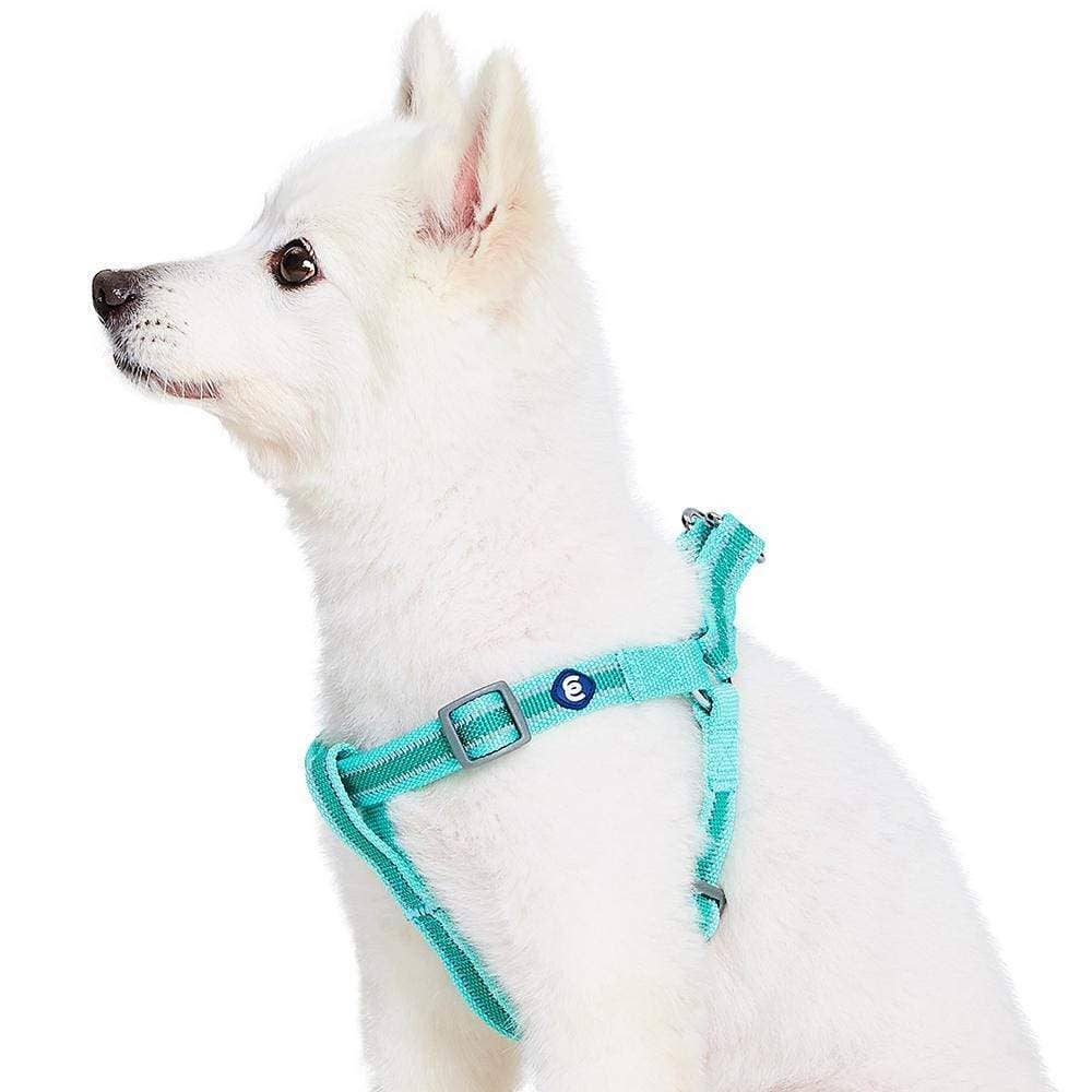 🌙🐾Better Basics Reflective Dog Harness