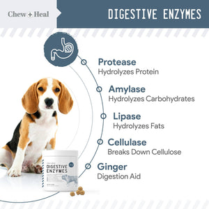 Digestive Enzymes with Probiotics