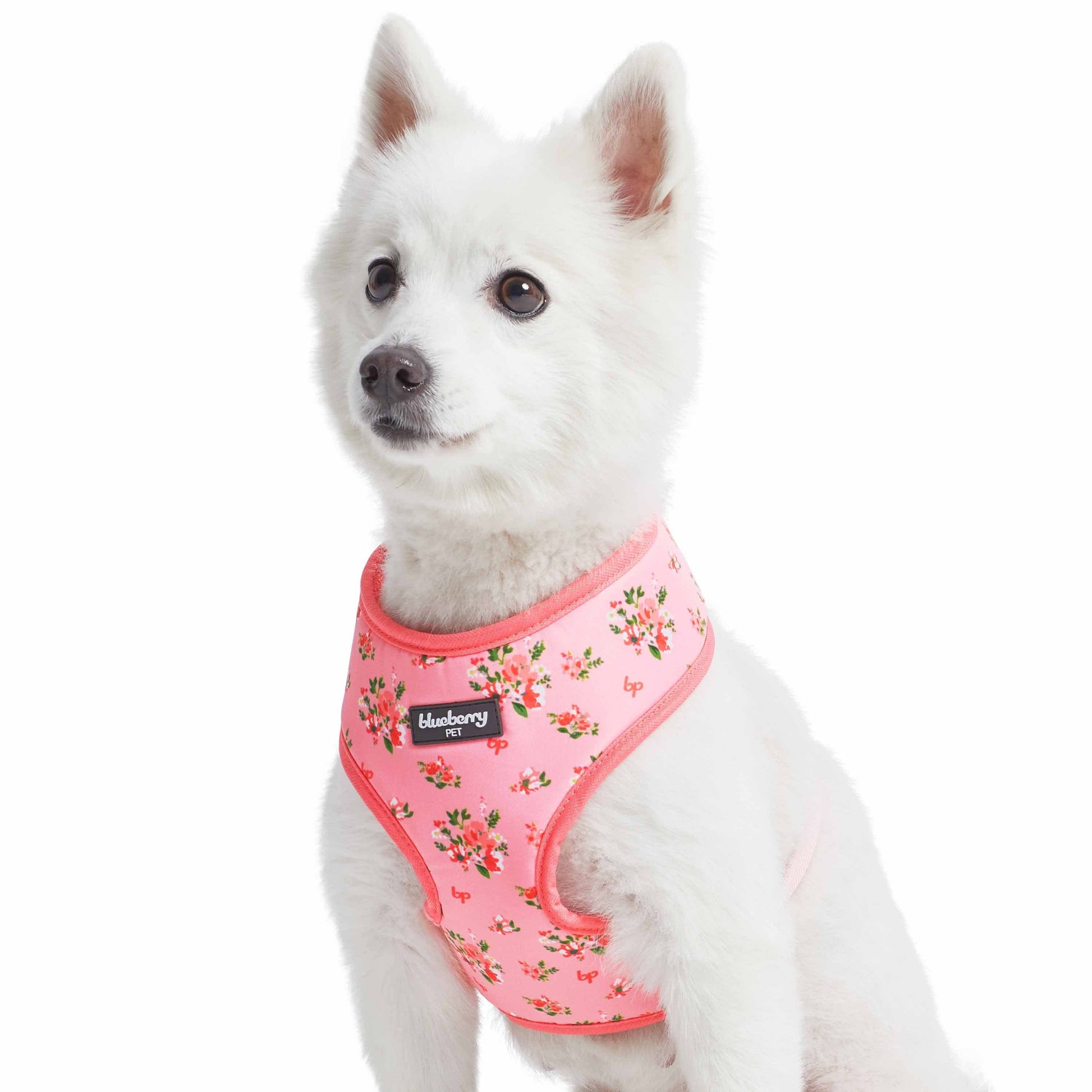 3 Colors, Petal Paws Floral Dog Harness Vest