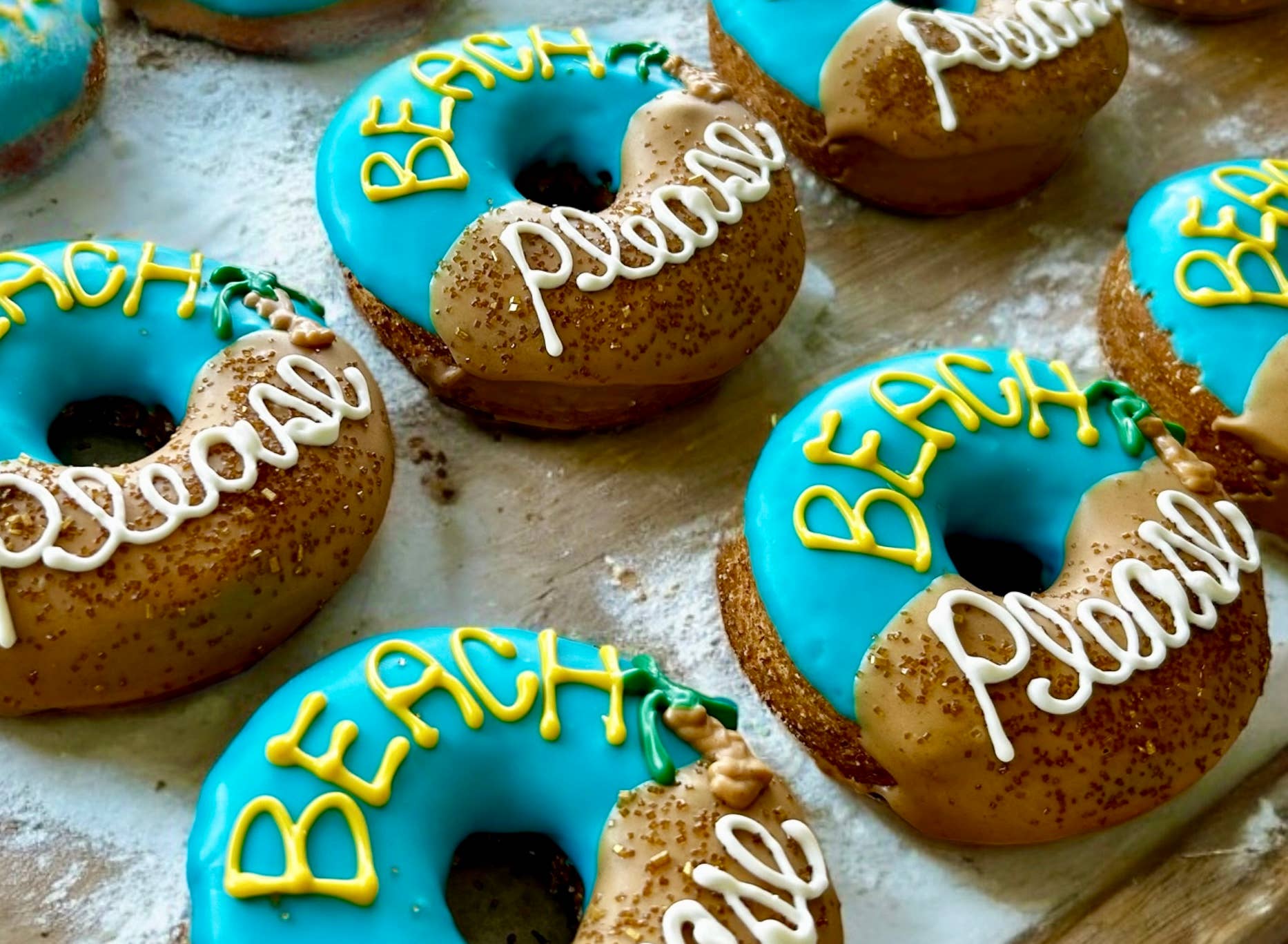 Beach PLEASE doggie donut dog treat