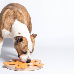 Carousel of Bones dog game