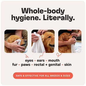 Body Health & Pet Hygiene Wipes
