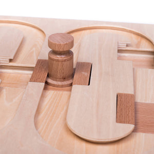 🧠 Advanced “008” Puzzle Game for Pets – Our Most Challenging Intelligence Toy