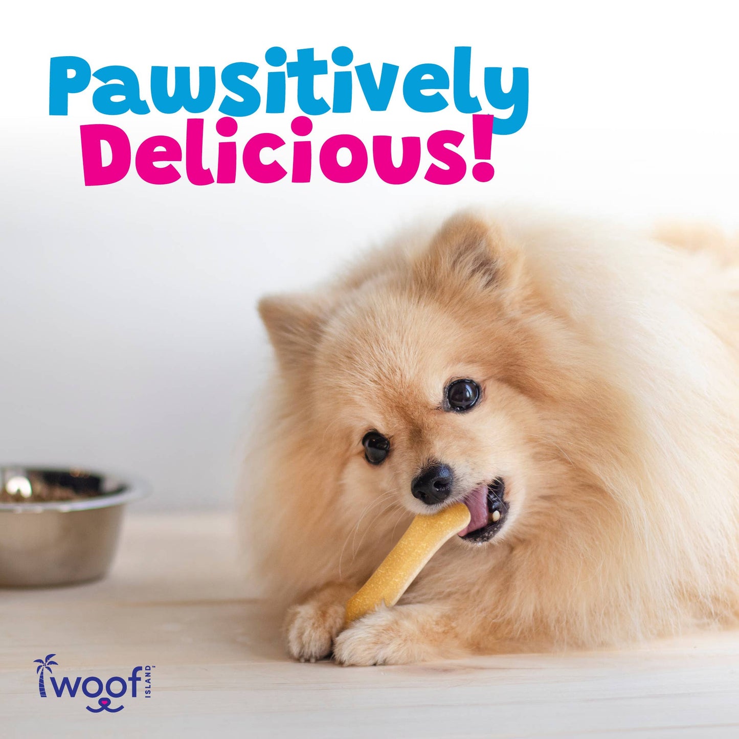 🥥🦴 Woof Island™ Coconut Bones – All-Natural Rawhide-Free Dog Chews