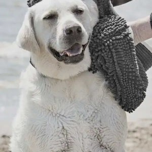 Soggy Doggy Super Shammy