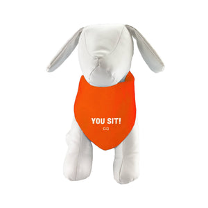 Sassy Pet Bandana - 