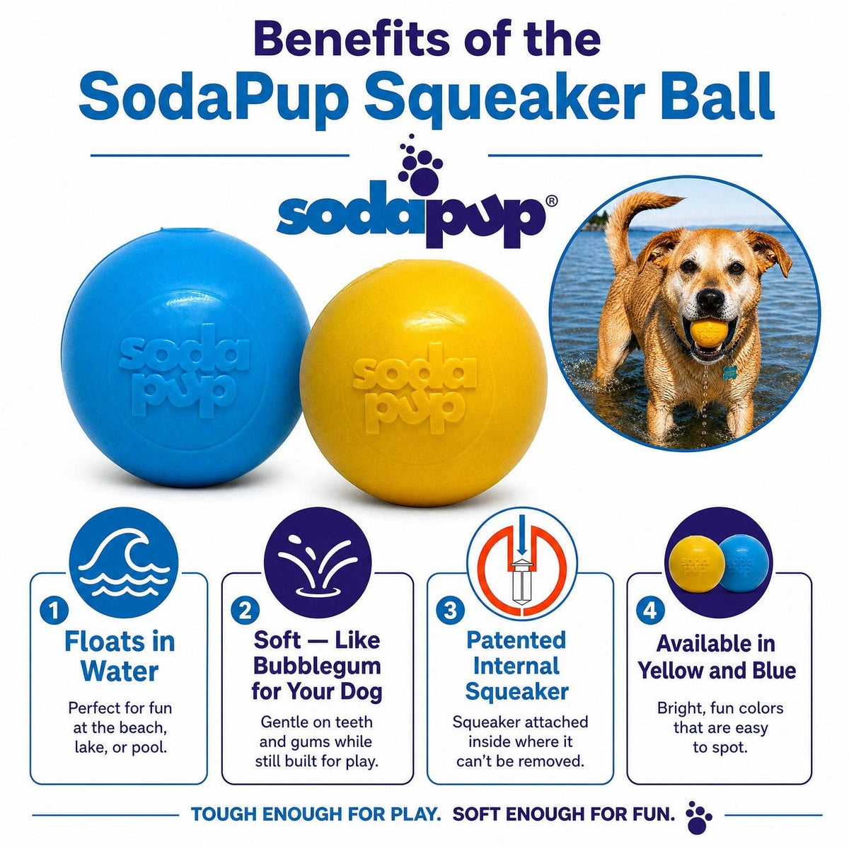 🐶🎾SodaPup Squeak Ball – Durable Floating Dog Toy Made in the USA