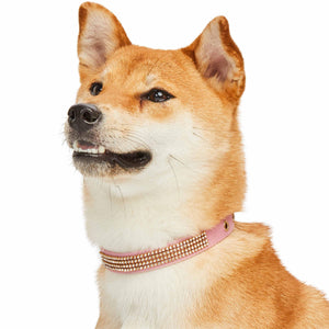 4 Colors, Bling Crystal Rhinestone Dog Collars