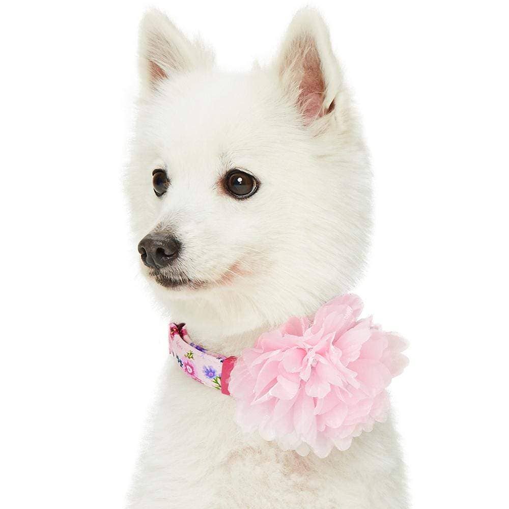 🌸 Floral Dog Collar with Pink Peony – Elegant, Feminine & Fashion-Forward 🐾
