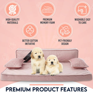 Modern Sofa Dog Bed