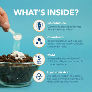 Hip & Joint Mobility Powder for Dogs