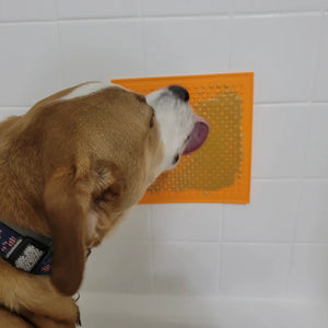 Lick Mat w/ Suction Cup