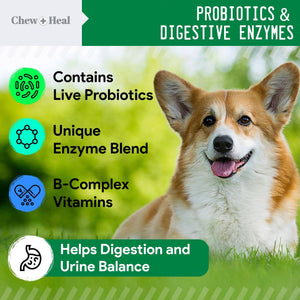 Chew + Heal Grass Saver Chews For Dogs| Dog Urine Grass Saver| 120 Soft Chews