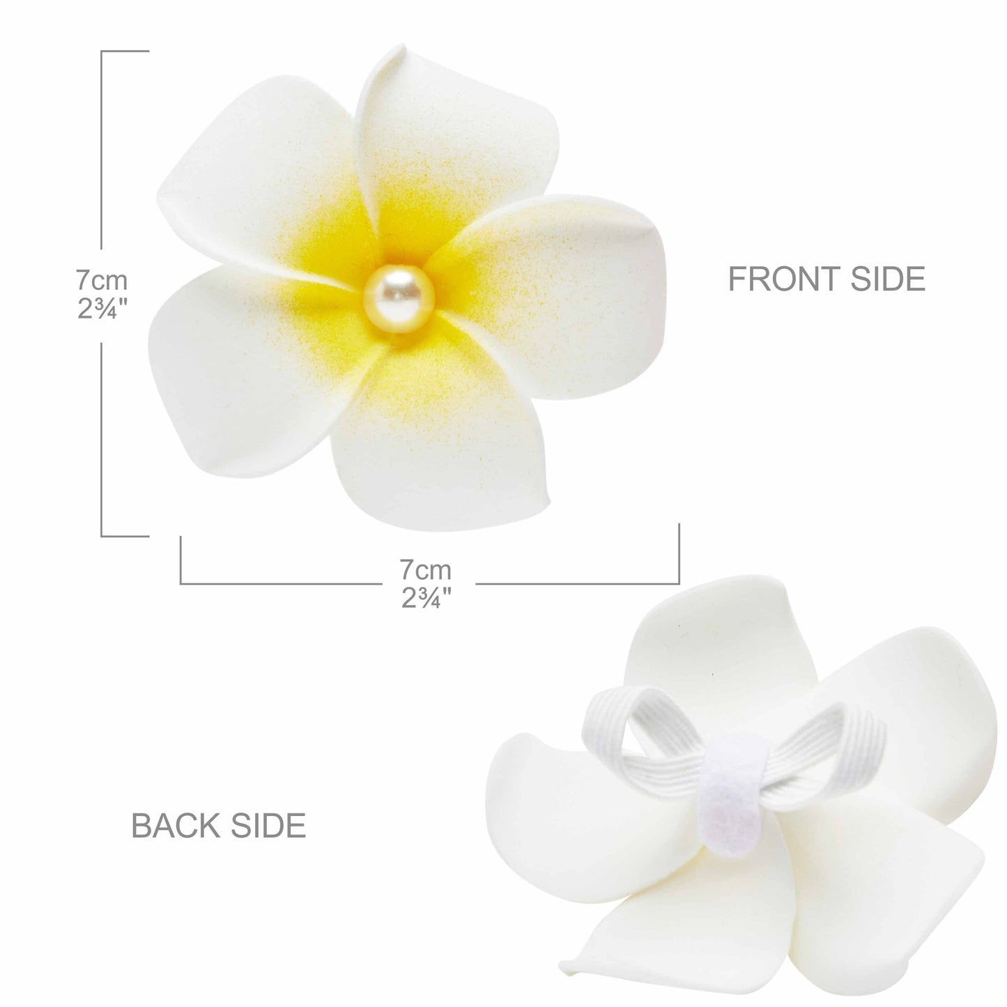 🌺 Tropical Flower Dog Collar – Bright, Durable & Stylish Everyday Wear 🐾